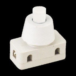 PULSADOR 2A/250V