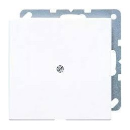 PLACA CON SALIDA CABLE LS...