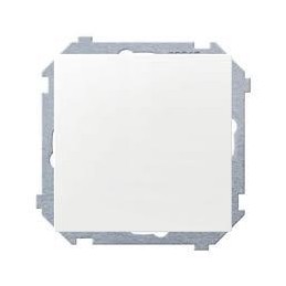 INTERRUPTOR 10A 250V