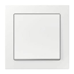 PULSADOR 10A 250V...