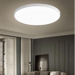 (N.REF MX1130024WCCT)...