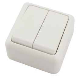 DOBLE INTERRUPTOR DE...