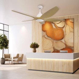 VENTILADOR TECHO KILWA LUZ...