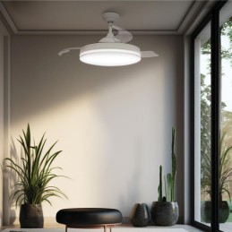 VENTILADOR TECHO OLIVERI...