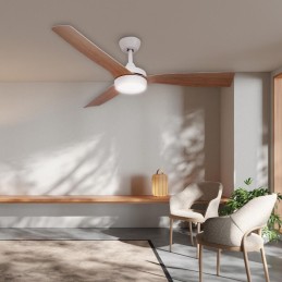 VENTILADOR TECHO CEFALÚ CON...