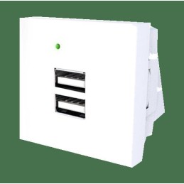 TOMA DOBLE USB F21-C3 CARGA...