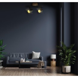 FOCO DE TECHO DOBLE LINEAL...