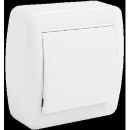 PULSADOR 10A 250V~....